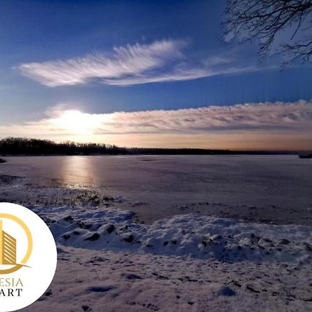 Apartament Skłodowskiej 11 Tychy Zewnętrze zdjęcie
